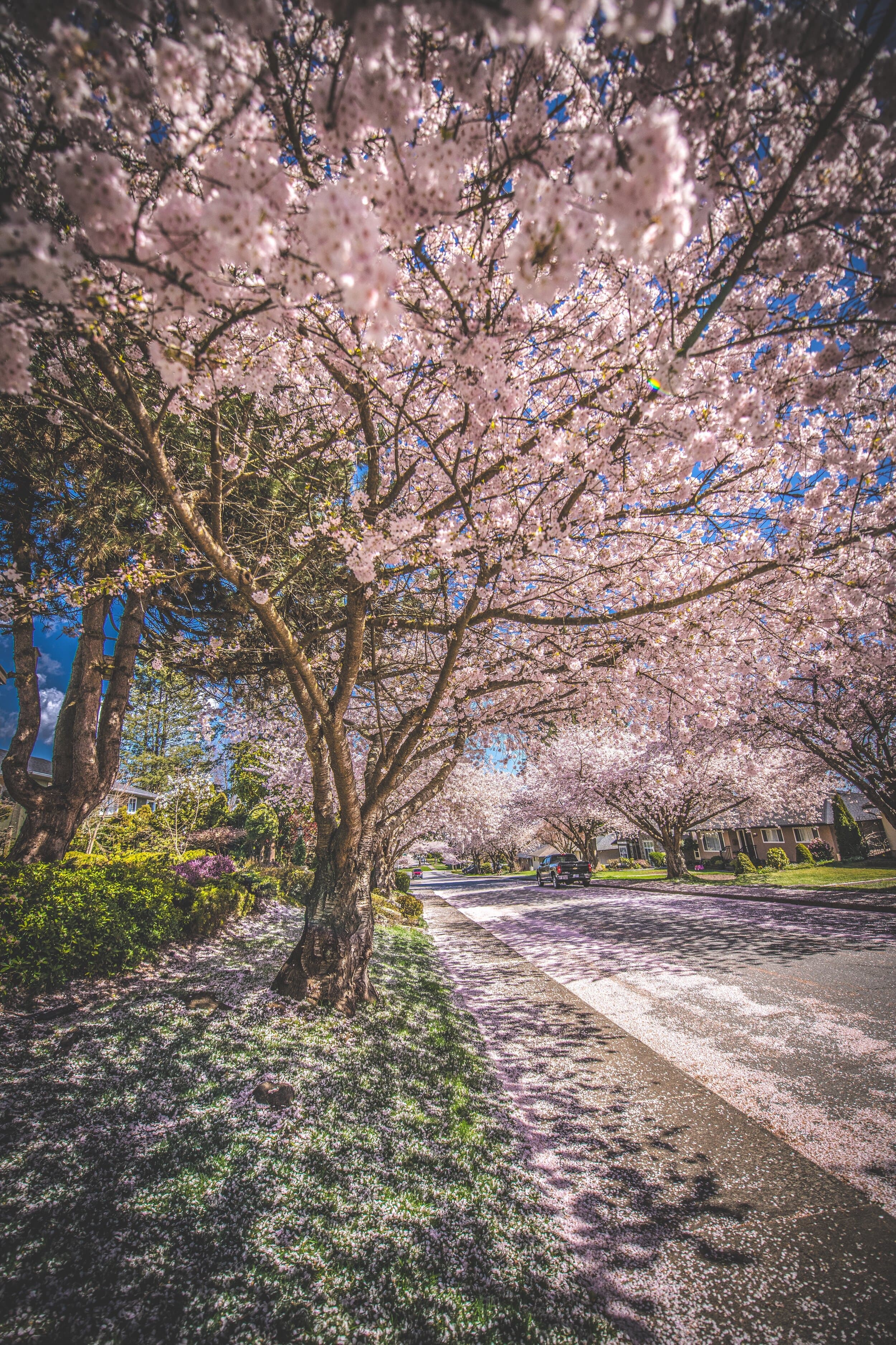 Vancouver, BC, Canada, Canada