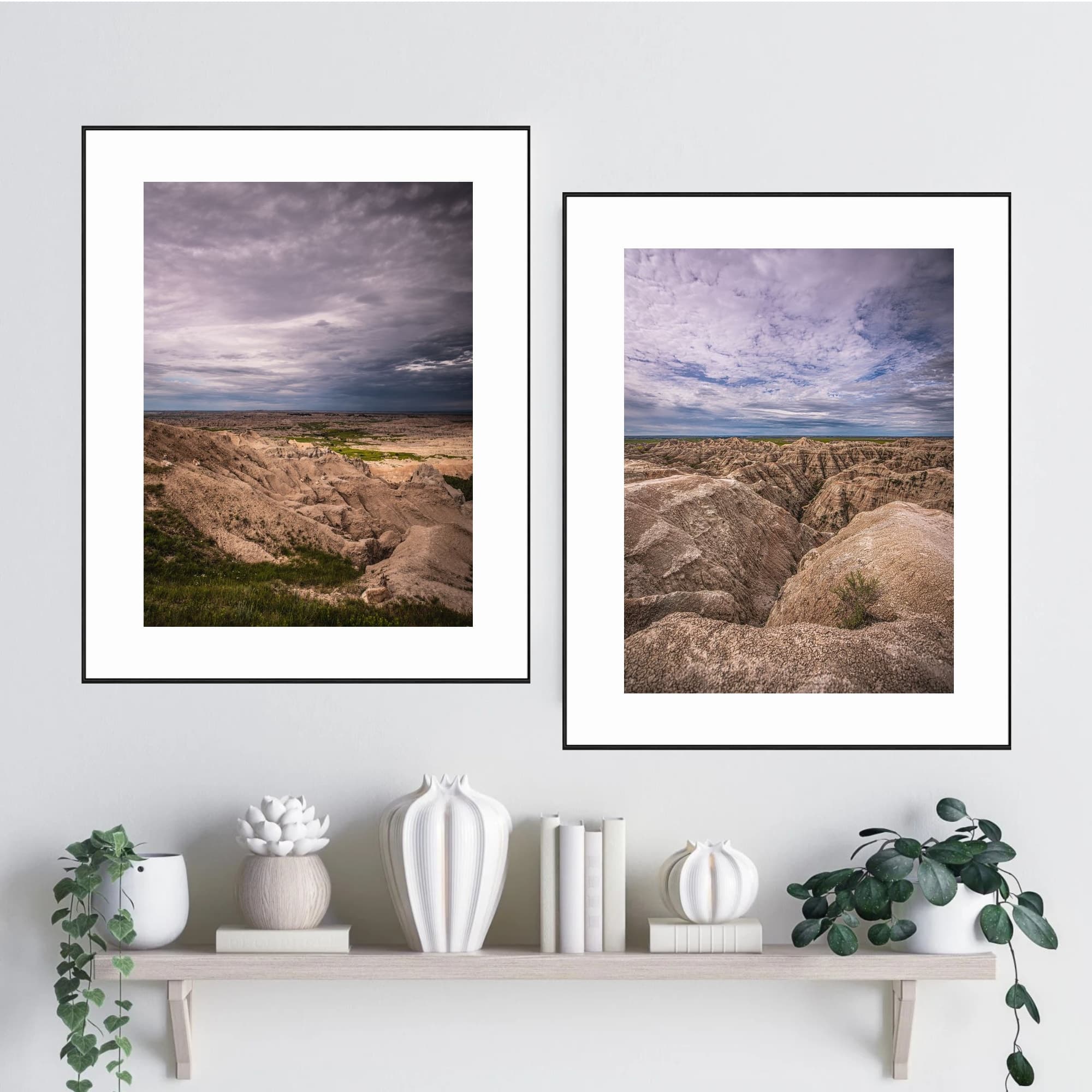 Badlands Wildlife